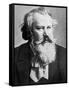 Johannes Brahms, 1879-null-Framed Stretched Canvas