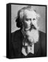 Johannes Brahms, 1879-null-Framed Stretched Canvas