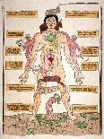 Bloodletting Chart, 1493-Johannes De Ketham-Stretched Canvas