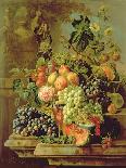 Still Life of Fruit-Johannes Hendrick Fredriks-Laminated Giclee Print