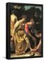 Johannes Vermeer Diana and her Nymphs Art Print Poster-null-Framed Poster