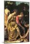 Johannes Vermeer Diana and her Nymphs Art Print Poster-null-Mounted Poster