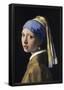 Johannes Vermeer Girl with a Pearl Earring Art Print Poster-null-Framed Poster