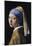 Johannes Vermeer Girl with a Pearl Earring Art Print Poster-null-Mounted Poster