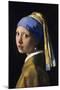 Johannes Vermeer Girl with a Pearl Earring-Johannes Vermeer-Mounted Art Print