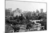 Johannesburg 1970S-null-Mounted Photographic Print