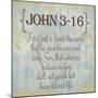 John 3-16-Taylor Greene-Mounted Art Print