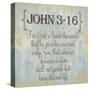 John 3-16-Taylor Greene-Stretched Canvas