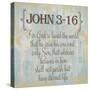 John 3-16-Taylor Greene-Stretched Canvas