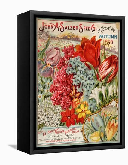 John A. Salzer Seed Co. Autumn 1895-null-Framed Stretched Canvas