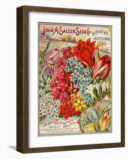 John A. Salzer Seed Co. Autumn 1895-null-Framed Art Print