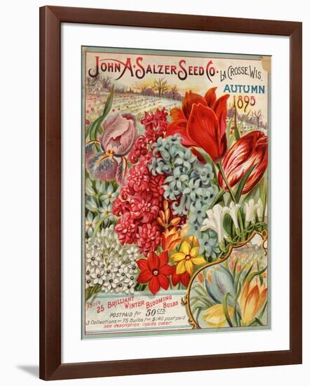 John A. Salzer Seed Co. Autumn 1895-null-Framed Art Print