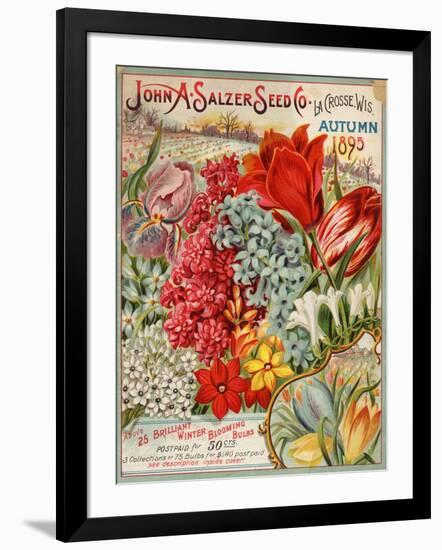 John A. Salzer Seed Co. Autumn 1895-null-Framed Art Print