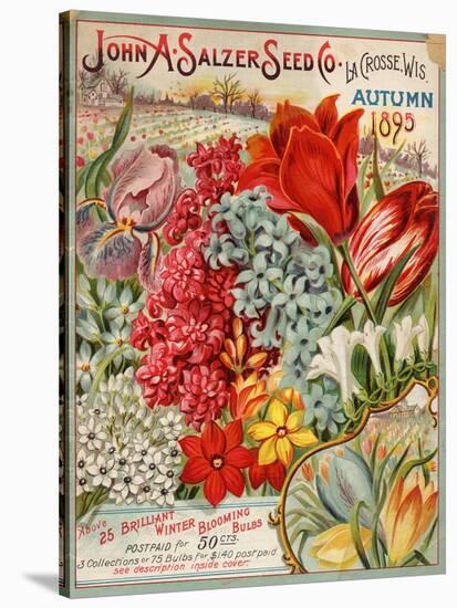 John A. Salzer Seed Co. Autumn 1895-null-Stretched Canvas