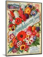 John A. Salzer Seed Co. Spring 1898: Flowers of Paradise-null-Mounted Art Print