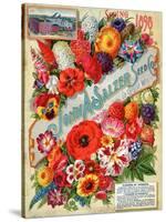 John A. Salzer Seed Co. Spring 1898: Flowers of Paradise-null-Stretched Canvas