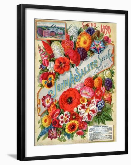 John A. Salzer Seed Co. Spring 1898: Flowers of Paradise-null-Framed Art Print