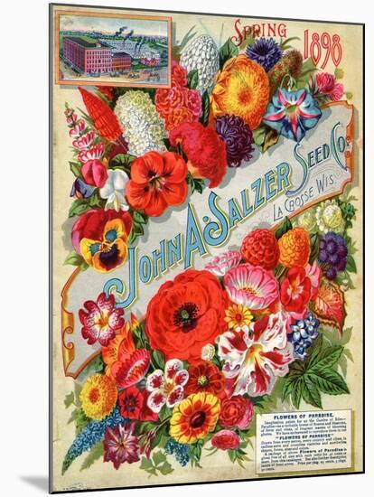 John A. Salzer Seed Co. Spring 1898: Flowers of Paradise-null-Mounted Art Print