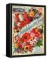 John A. Salzer Seed Co. Spring 1898: Flowers of Paradise-null-Framed Stretched Canvas