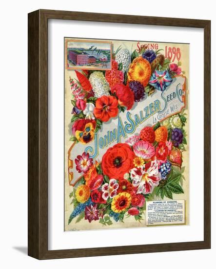 John A. Salzer Seed Co. Spring 1898: Flowers of Paradise-null-Framed Art Print