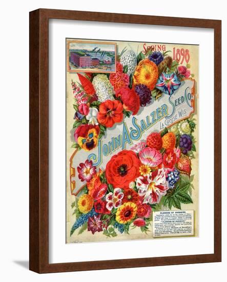 John A. Salzer Seed Co. Spring 1898: Flowers of Paradise-null-Framed Art Print