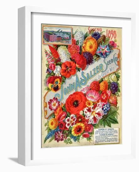 John A. Salzer Seed Co. Spring 1898: Flowers of Paradise-null-Framed Art Print