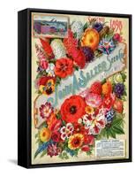 John A. Salzer Seed Co. Spring 1898: Flowers of Paradise-null-Framed Stretched Canvas