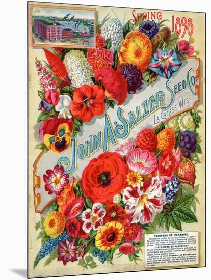 John A. Salzer Seed Co. Spring 1898: Flowers of Paradise-null-Mounted Art Print