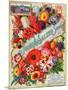 John A. Salzer Seed Co. Spring 1898: Flowers of Paradise-null-Mounted Art Print