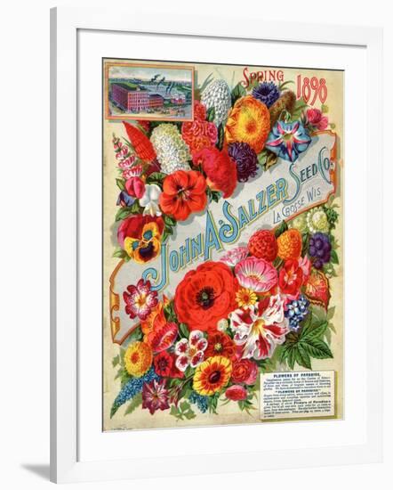 John A. Salzer Seed Co. Spring 1898: Flowers of Paradise-null-Framed Art Print