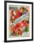 John A. Salzer Seed Co. Spring 1898: Flowers of Paradise-null-Framed Art Print