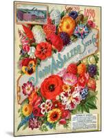 John A. Salzer Seed Co. Spring 1898: Flowers of Paradise-null-Mounted Art Print