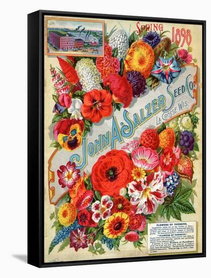 John A. Salzer Seed Co. Spring 1898: Flowers of Paradise-null-Framed Stretched Canvas