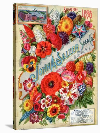 John A. Salzer Seed Co. Spring 1898: Flowers of Paradise-null-Stretched Canvas