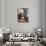 John Adams (1735-1826)-Gilbert Stuart-Giclee Print displayed on a wall