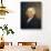 John Adams-Gilbert Stuart-Stretched Canvas displayed on a wall