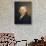 John Adams-Gilbert Stuart-Stretched Canvas displayed on a wall