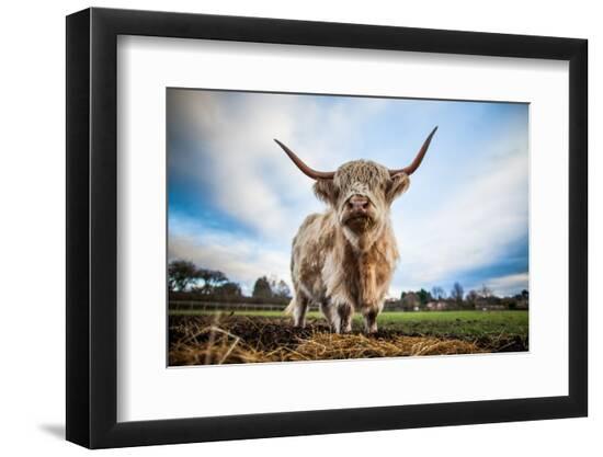 Photographic Print, , large