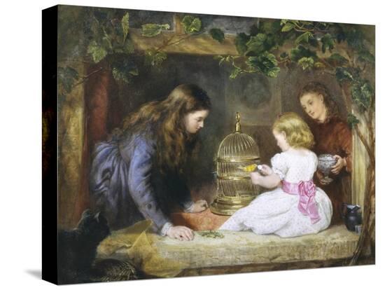 Stretched Canvas Print, , large