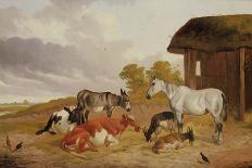 Farmyard Companions-John Alfred Wheeler-Giclee Print