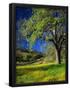 Essential Black
