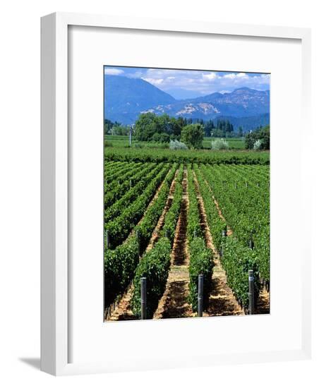 Framed Photographic Print, , large