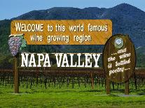 Wine Cave at the Pine Ridge Winery on the Silverado Trail, Napa Valley, California, USA-John Alves-Photographic Print