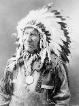 Portrait of Turning Bear, a Sioux Warrior, C.1900 (B/W Photo)-John Alvin Anderson-Giclee Print