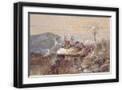Black Frame