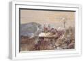 White Frame