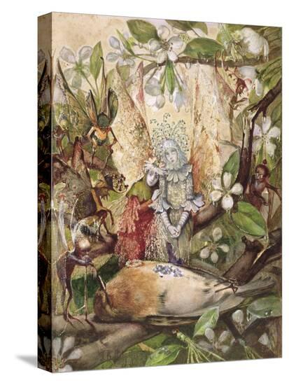 Stretched Canvas Print, , large