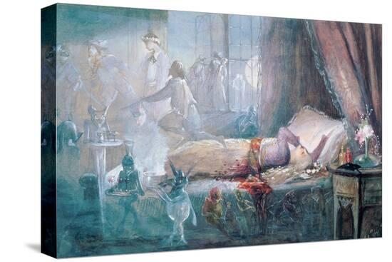 Stretched Canvas Print, , large