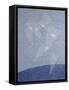 Framed Canvas