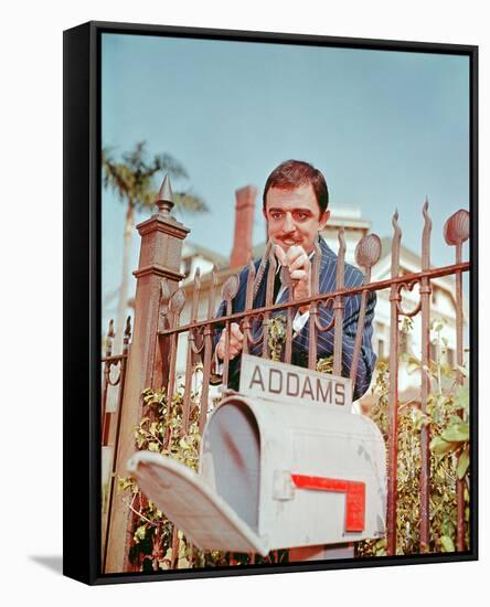 John Astin, The Addams Family (1964)-null-Framed Stretched Canvas